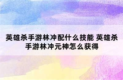 英雄杀手游林冲配什么技能 英雄杀手游林冲元神怎么获得